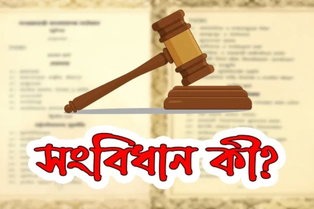 সংবিধান কী এবং এটি কেন একটি রাষ্ট্রের জন্য অপরিহার্য?